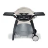Weber Q Series 3200 Grill | 57060001